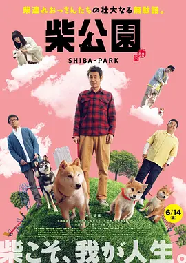 大焦伊人