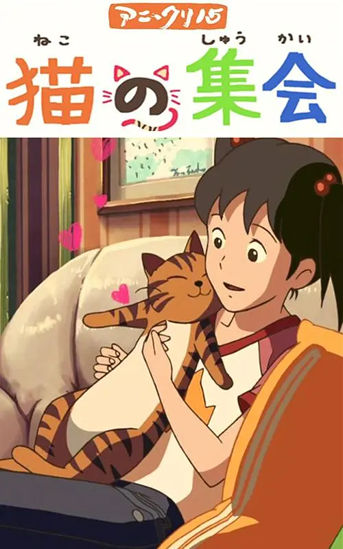 亚洲深夜视频
